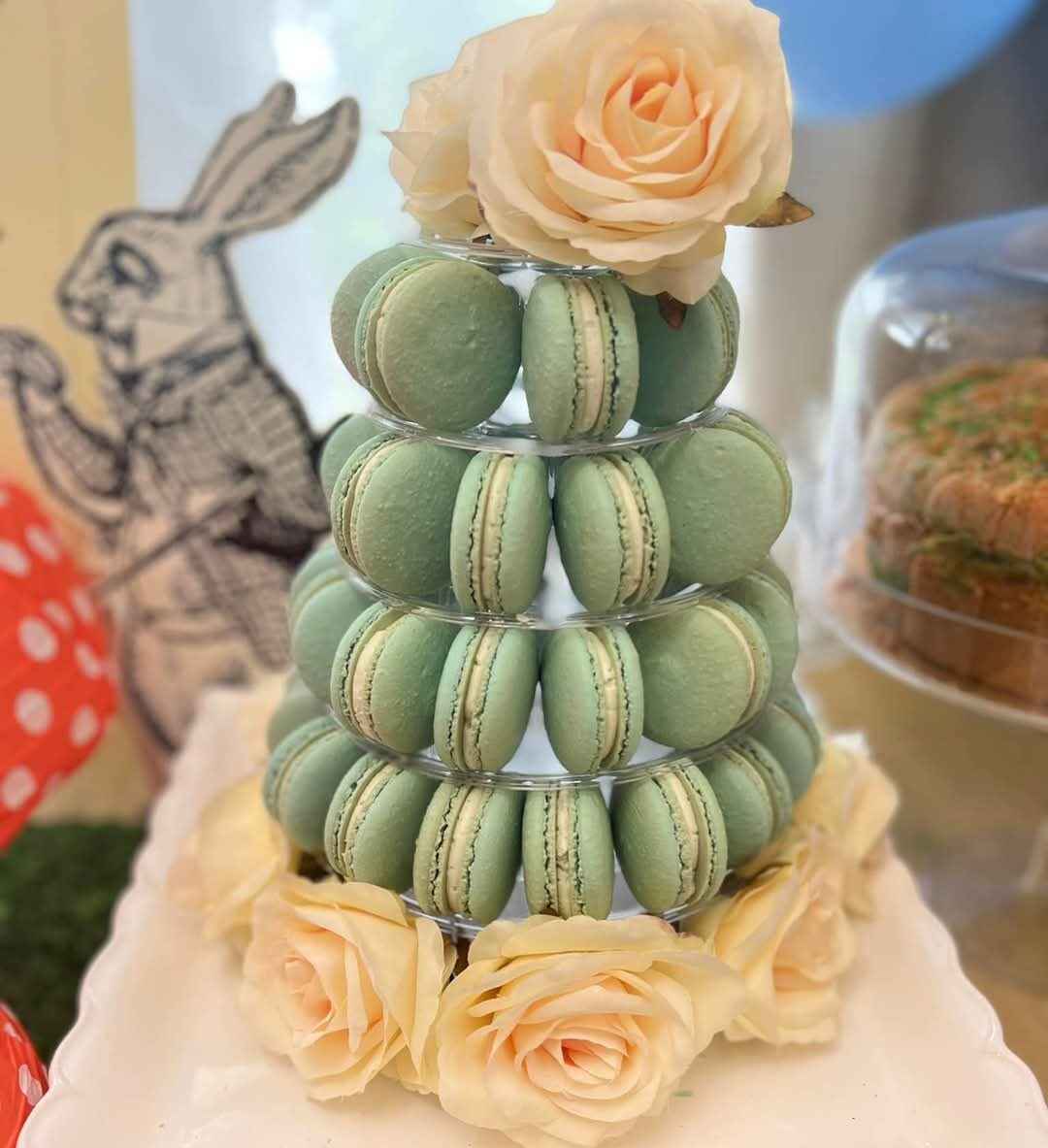 Macaron Displays